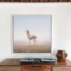 Alice Zilberberg Dont Worry Deer - 3839120