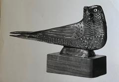 Allan Capron Houser Sparrow Hawk - 2854626