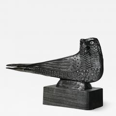 Allan Capron Houser Sparrow Hawk - 2857574