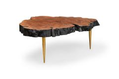 Almada Contemporary Modern Live Edge Petrified Wood and Brass Coffee Table - 4171326