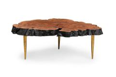 Almada Contemporary Modern Live Edge Petrified Wood and Brass Coffee Table - 4171327