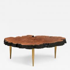 Almada Contemporary Modern Live Edge Petrified Wood and Brass Coffee Table - 4196134