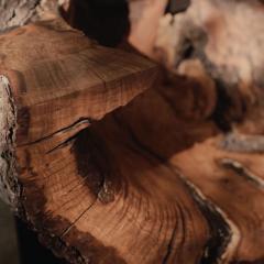 Alper Nakri My Neighbor s Tree - 4349915