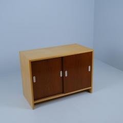 Alvar Aalto Aino Aalto Sliding Door Cabinet Model 217 in Birch and Teak Artek 1950s - 4248832