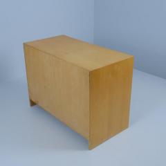 Alvar Aalto Aino Aalto Sliding Door Cabinet Model 217 in Birch and Teak Artek 1950s - 4248838