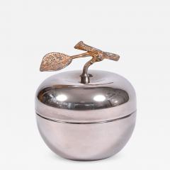 American 1960s silver apple - 1497157