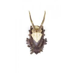 American Country Style Taxidermy Antler Plaque - 4742178
