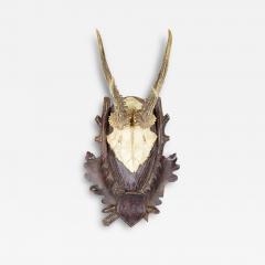 American Country Style Taxidermy Antler Plaque - 4742191