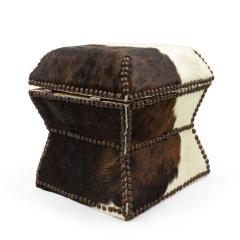 American Cowhide and Brass Box - 4669537