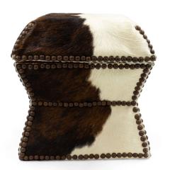 American Cowhide and Brass Box - 4669538