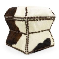 American Cowhide and Brass Box - 4669539