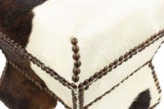 American Cowhide and Brass Box - 4669540