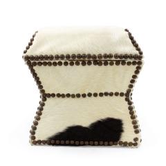 American Cowhide and Brass Box - 4669541