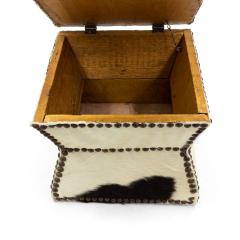American Cowhide and Brass Box - 4669542