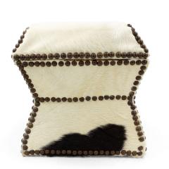 American Cowhide and Brass Box - 4669544