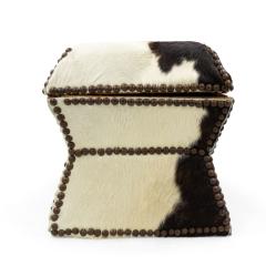 American Cowhide and Brass Box - 4669546