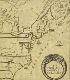 American Maple Print Of 13 Colonies - 3206478