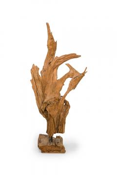American Mid Century Wild Asian Teak Tree Root Sculpture - 4197739