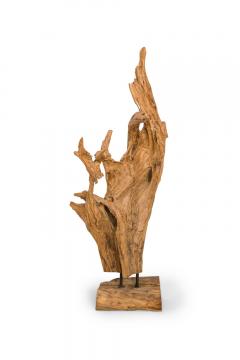 American Mid Century Wild Asian Teak Tree Root Sculpture - 4197740