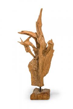 American Mid Century Wild Asian Teak Tree Root Sculpture - 4197741