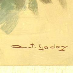 American Native American Portrait - 3190287