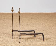 American Neoclassical Iron and Brass Andirons - 4205728
