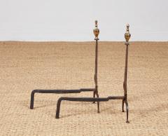 American Neoclassical Iron and Brass Andirons - 4205729