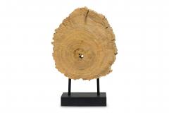 American Petried Wood Table Sculpture - 4668228