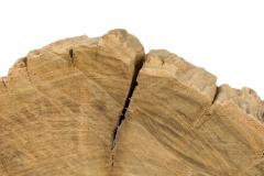 American Petried Wood Table Sculpture - 4668231