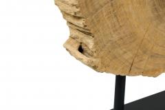 American Petried Wood Table Sculpture - 4668234