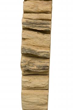 American Petried Wood Table Sculpture - 4668235