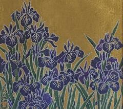 American School Irises  - 3721721