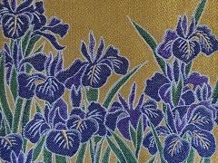 American School Irises  - 3721724