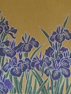 American School Irises  - 3721727