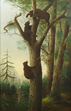 American School Three Bear Cubs Playing in a Tree - 4545085