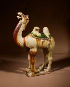 An original Sancai glazed Tang camel Tang Dynasty 618 907 AD - 3274621