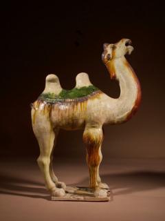 An original Sancai glazed Tang camel Tang Dynasty 618 907 AD - 3274631