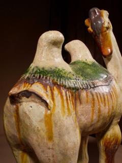 An original Sancai glazed Tang camel Tang Dynasty 618 907 AD - 3274632