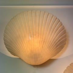 Andr Cazenave A pair of shell wall lamps by Andr Cazenave France 1970s - 3032264