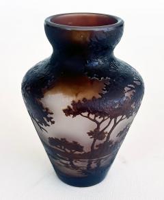 Andre Delatte Andre Delatte Nancy Acid Etched Cameo Glass Vase France - 4599480