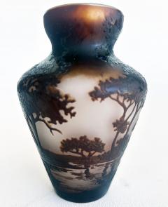 Andre Delatte Andre Delatte Nancy Acid Etched Cameo Glass Vase France - 4601838