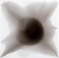 Andreas Anastasis Modern Resin Art by Andreas Anastasis - 4237337
