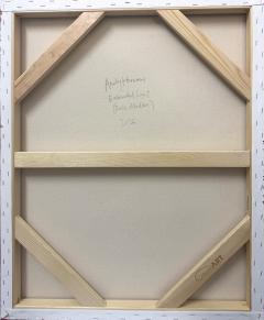 Andy Harwood Extended Light Rose Madder  - 4558493