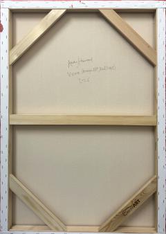 Andy Harwood Vision Orange DPP Red Violet  - 4558485