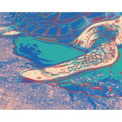 Andy Warhol Andy Warhol Turtle 1985 FS II 360A Signed and Numbered  - 3095122