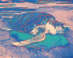 Andy Warhol Andy Warhol Turtle 1985 FS II 360A Signed and Numbered  - 3097523