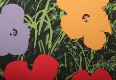 Andy Warhol Poppy Flowers for the Museu de Arte de Moderna Sao Paulo - 4683508