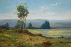 Angel Espoy Cows Grazing in a Wildflower Landscaoe - 4448177