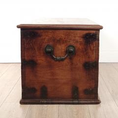Anglo Indian Hardwood Chest Trunk 19th century - 3320886