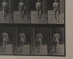 Animal Locomotion Eadweard Muybridge 1887 Plate 10 - 4006349